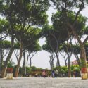 Rome’s Orange Garden and Saint Dominic